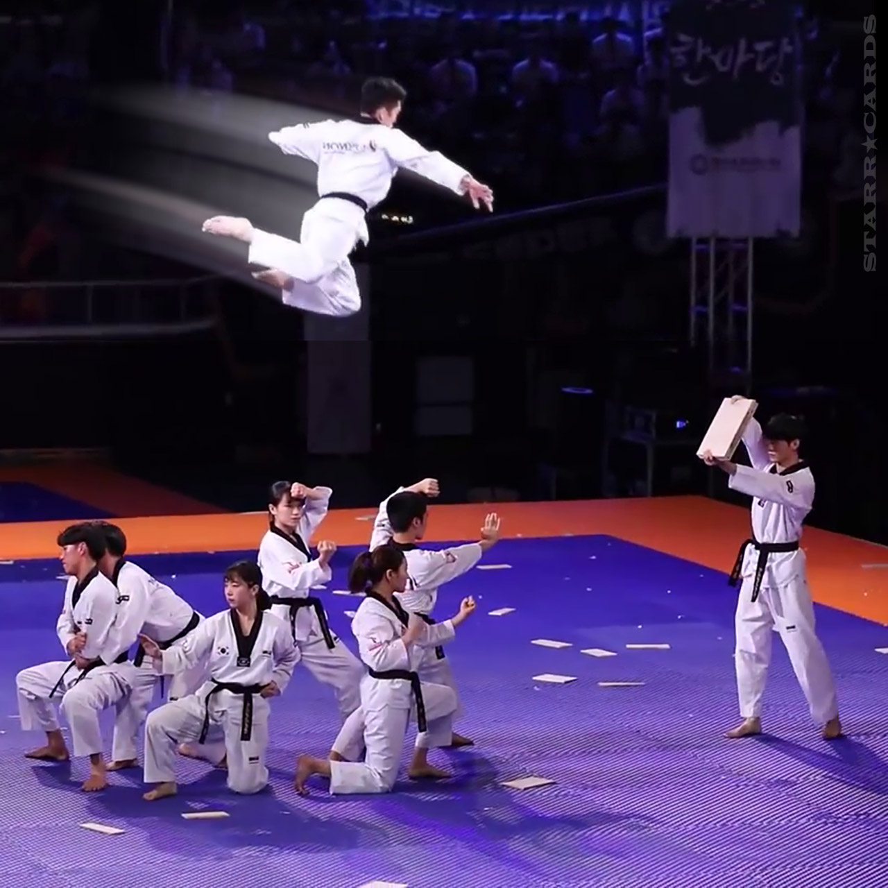 Kukkiwon Taekwondo Demonstration Team Shows Off High Flying Punches And Kicks 