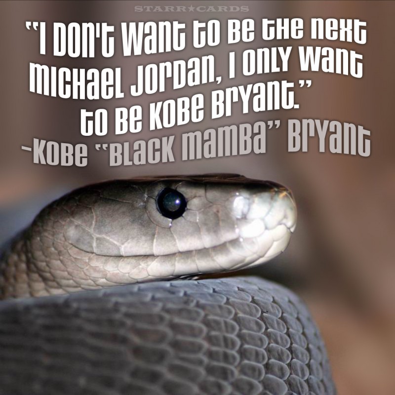 Kobe Brayant aka "Black Mamba" quote about being the next Michael Jordan