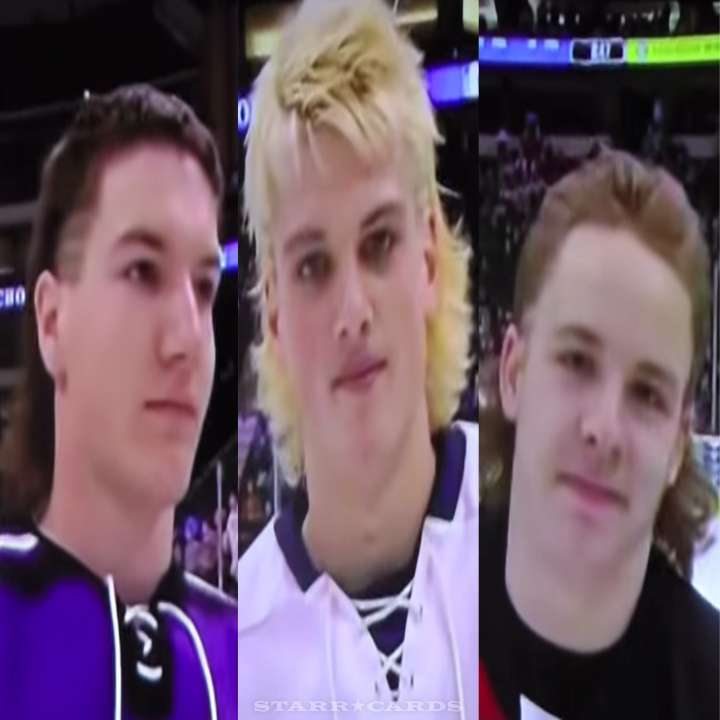 Mullets of the 2015 Minnesota State High School All Hockey Hair Team