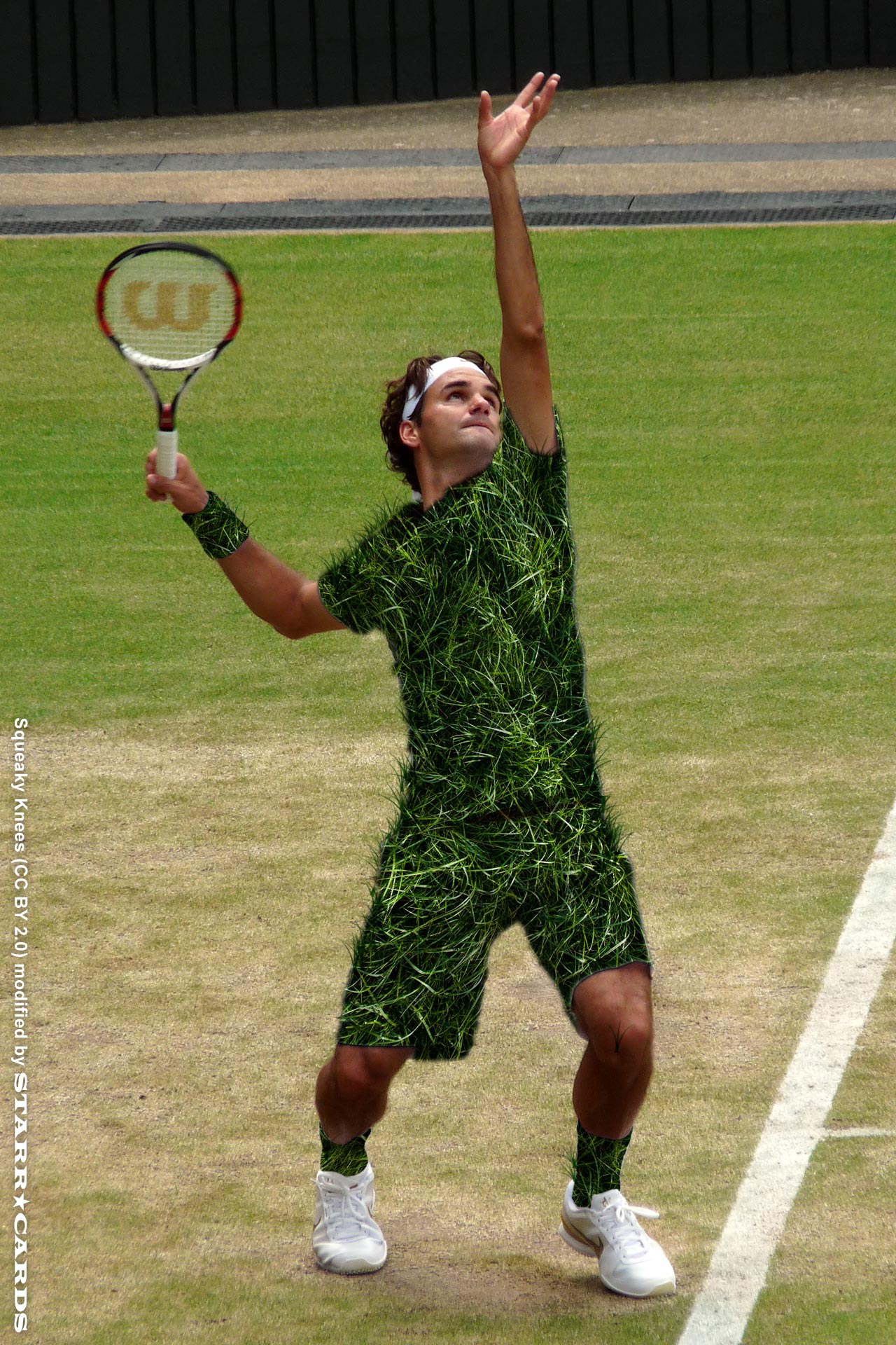 Roger Federer the King of Grass